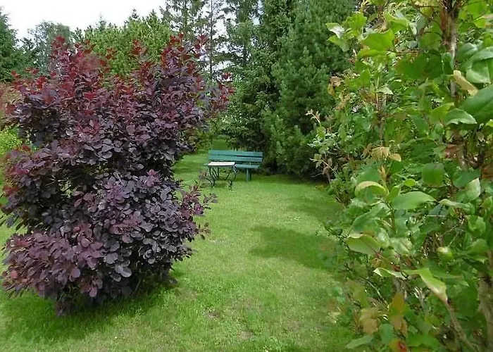 شقة Ruegen_fewo 61